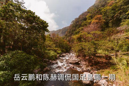岳云鵬和陳赫調(diào)侃國足是哪一期