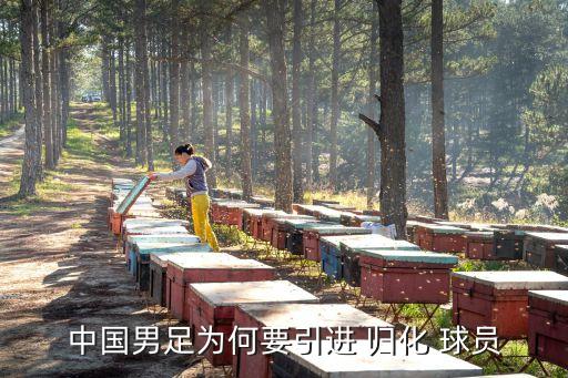 中國(guó)男足為何要引進(jìn) 歸化 球員