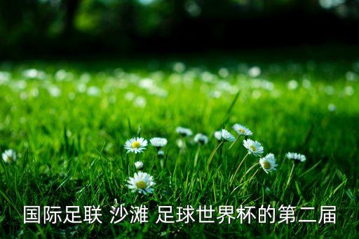 國際足聯(lián) 沙灘 足球世界杯的第二屆