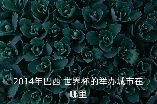 2014年巴西 世界杯的舉辦城市在哪里