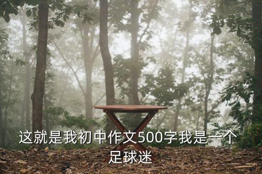 這就是我初中作文500字我是一個(gè) 足球迷