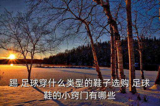 足球鞋大小選擇,美津濃足球鞋大小
