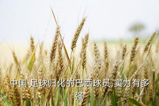 中國 足球歸化的巴西球員,實力有多強