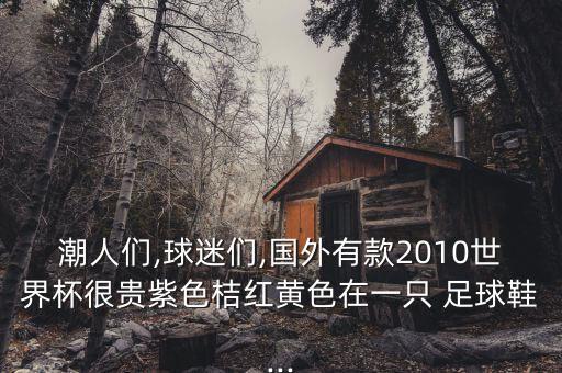 潮人們,球迷們,國(guó)外有款2010世界杯很貴紫色桔紅黃色在一只 足球鞋...