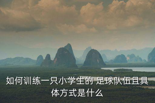 如何訓練一只小學生的 足球隊伍且具體方式是什么