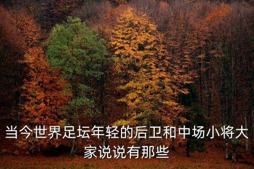 當今世界足壇年輕的后衛(wèi)和中場小將大家說說有那些