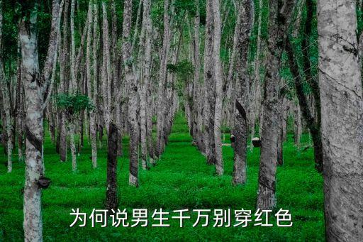 熱巴與足球外援,迪麗熱巴和足球運動員