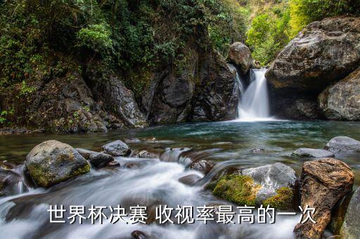  世界杯決賽 收視率最高的一次