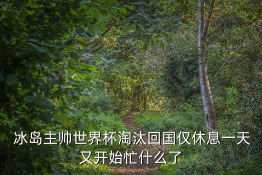  冰島主帥世界杯淘汰回國僅休息一天又開始忙什么了