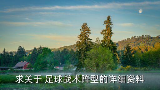 求關(guān)于 足球戰(zhàn)術(shù)陣型的詳細資料
