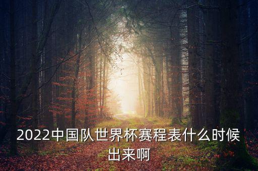 2022中國隊世界杯賽程表什么時候出來啊