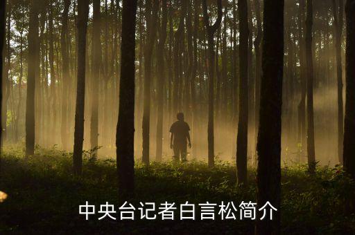 中央臺(tái)記者白言松簡(jiǎn)介