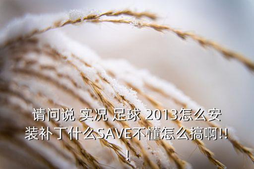 請問說 實況 足球 2013怎么安裝補丁什么SAVE不懂怎么搞啊!!!