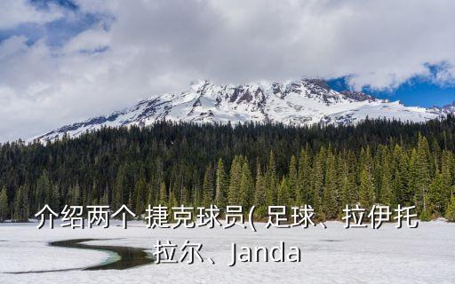 捷克足球隊員照片,天津泰達足球隊員照片