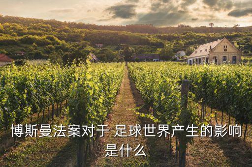 博斯曼法案對于 足球世界產(chǎn)生的影響是什么