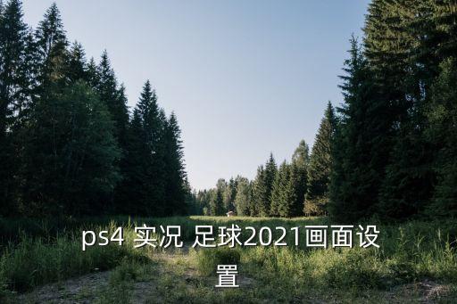  ps4 實況 足球2021畫面設(shè)置