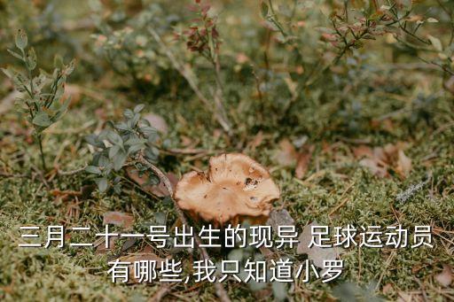 圖爾克足球后備