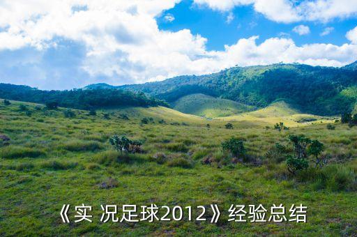 《實 況足球2012》經(jīng)驗總結(jié)