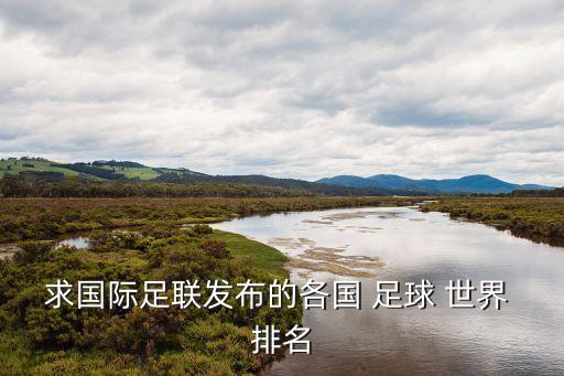 13年世界足球排名,塞爾維亞世界足球排名