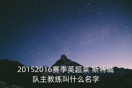 20152016賽季英超菜 斯特城隊主教練叫什么名字