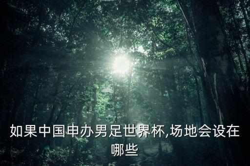 如果中國申辦男足世界杯,場地會設(shè)在哪些