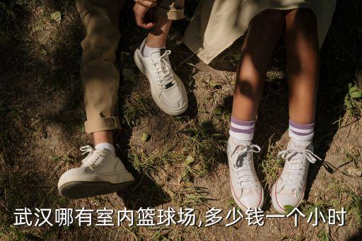 武漢哪有室內(nèi)籃球場(chǎng),多少錢一個(gè)小時(shí)