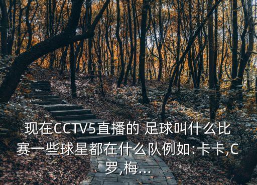 現(xiàn)在CCTV5直播的 足球叫什么比賽一些球星都在什么隊(duì)例如:卡卡,C羅,梅...