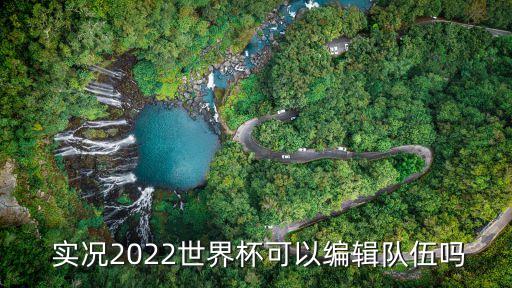  實(shí)況2022世界杯可以編輯隊(duì)伍嗎