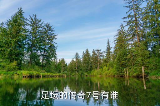 足壇的傳奇7號有誰