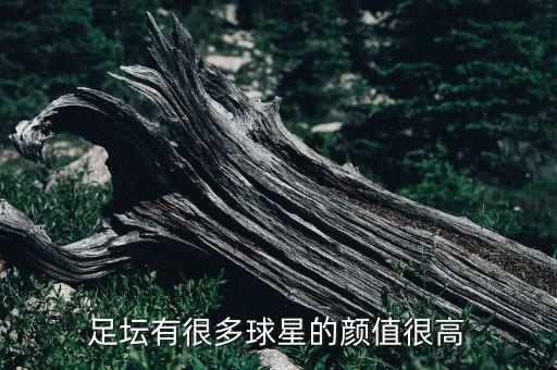 足壇有很多球星的顏值很高