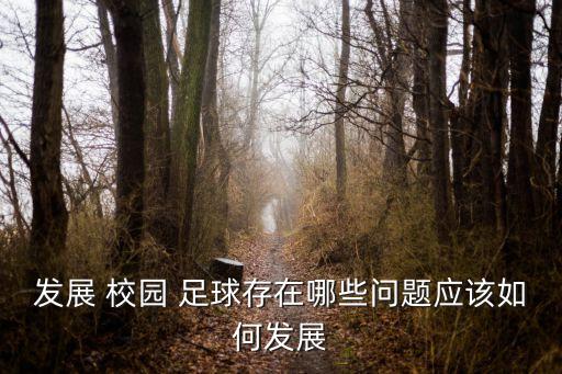 兩會談校園足球