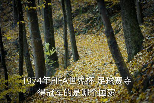 印度足球fifa