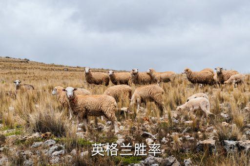 英格蘭勝率