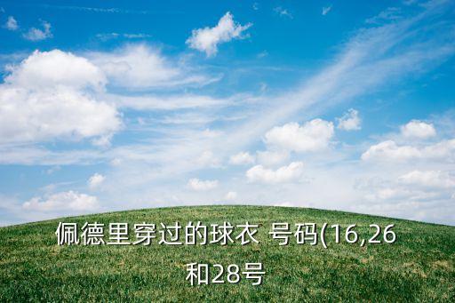 佩德里穿過(guò)的球衣 號(hào)碼(16,26和28號(hào)