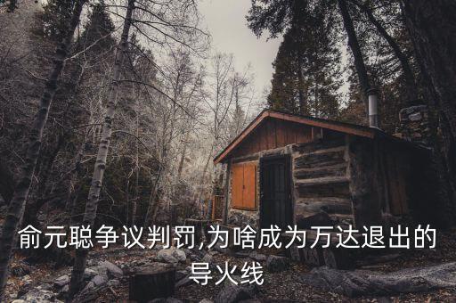 王健林發(fā)布退出中國(guó)足球