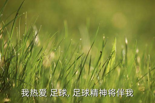 我熱愛 足球, 足球精神將伴我
