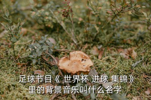  足球節(jié)目《 世界杯 進(jìn)球 集錦》里的背景音樂叫什么名字