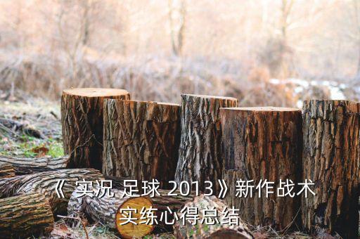 《 實況 足球 2013》新作戰(zhàn)術(shù)實練心得總結(jié)