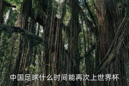 中國足球什么時間能再次上世界杯