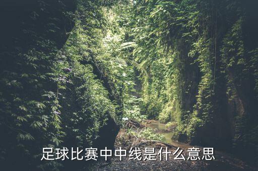 足球場(chǎng)各線(xiàn)的作用...