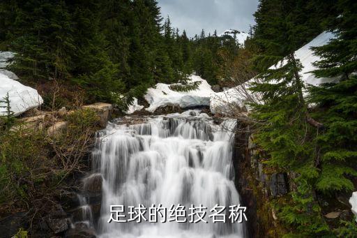 足球的絕技名稱