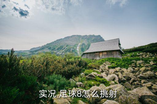 實(shí)況 足球8怎么挑射