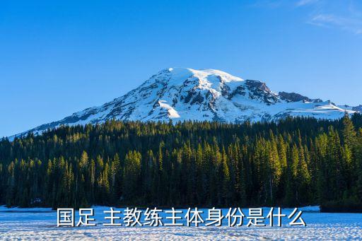 國足 主教練主體身份是什么