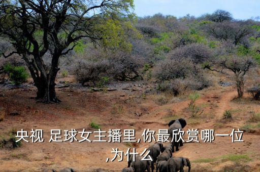 劉語(yǔ)熙天下足球是哪期