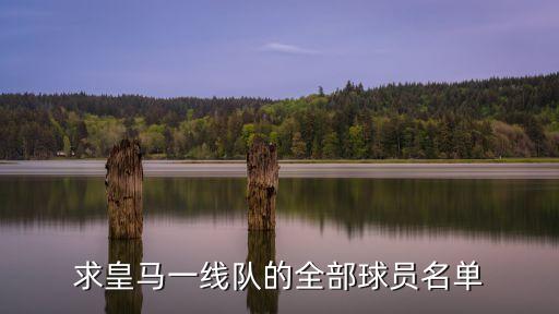 求皇馬一線隊的全部球員名單