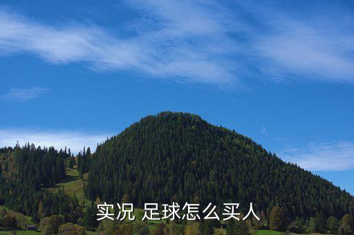 實(shí)況足球2013買球員