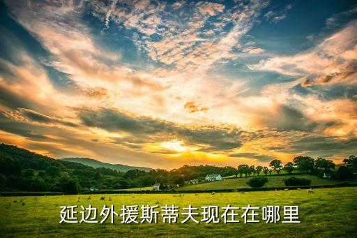  延邊外援斯蒂夫現(xiàn)在在哪里