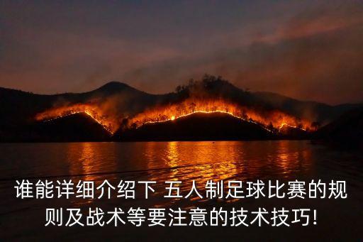 誰能詳細(xì)介紹下 五人制足球比賽的規(guī)則及戰(zhàn)術(shù)等要注意的技術(shù)技巧!