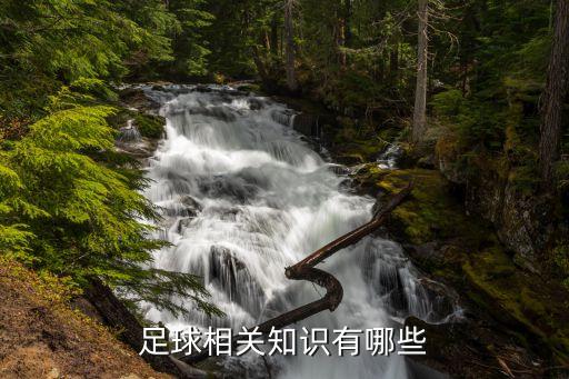 足球相關(guān)知識(shí)有哪些