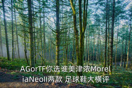 AGorTF你選誰(shuí)美津濃MoreliaNeoII兩款 足球鞋大橫評(píng)